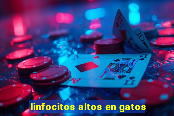 linfocitos altos en gatos